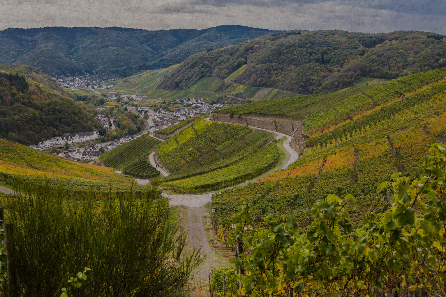 Pfalz Foto 06 735x490px